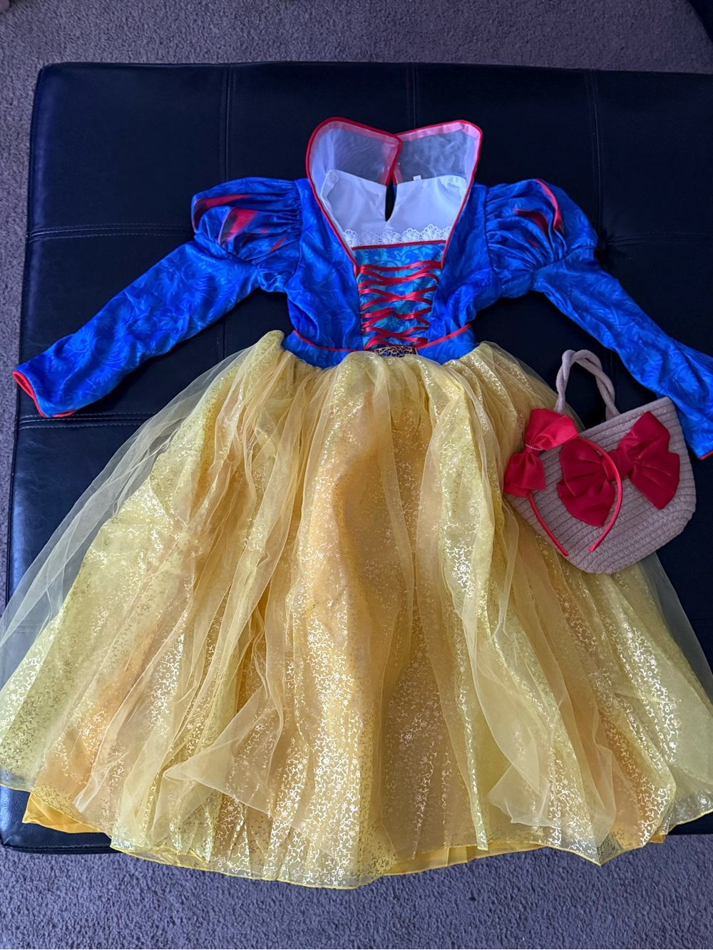 Blue and Yellow Long Sleeved Princess Dress Kids Costume with Red Trim
